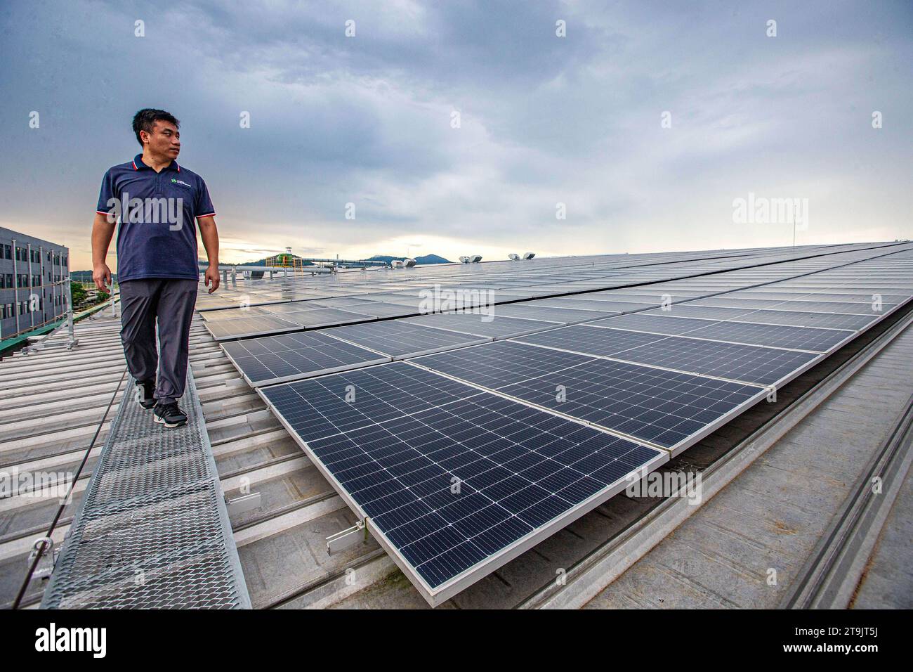 (231126) -- CHONBURI, 26. November 2023 (Xinhua) -- Ein Mitarbeiter patrouilliert am 7. November 2023 auf dem Sonnendach einer Reifenfabrik in der Provinz Chonburi, Thailand. Das chinesische Unternehmen Prinx Chengshan Tire und WHA Utilities and Power (WHAUP) aus Thailand bauen gemeinsam ein Solardach für die Reifenfabrik in der Provinz Chonburi. Die erste Phase des Projekts nahm Ende November 2022 mit einer installierten Kapazität von 19,44 MW ihren Betrieb auf. Die zweite Phase des Projekts wird voraussichtlich 2024 abgeschlossen sein, bis zu dem die installierte Gesamtkapazität 24,24 MW erreichen wird, die 30.000 verringert werden kann Stockfoto