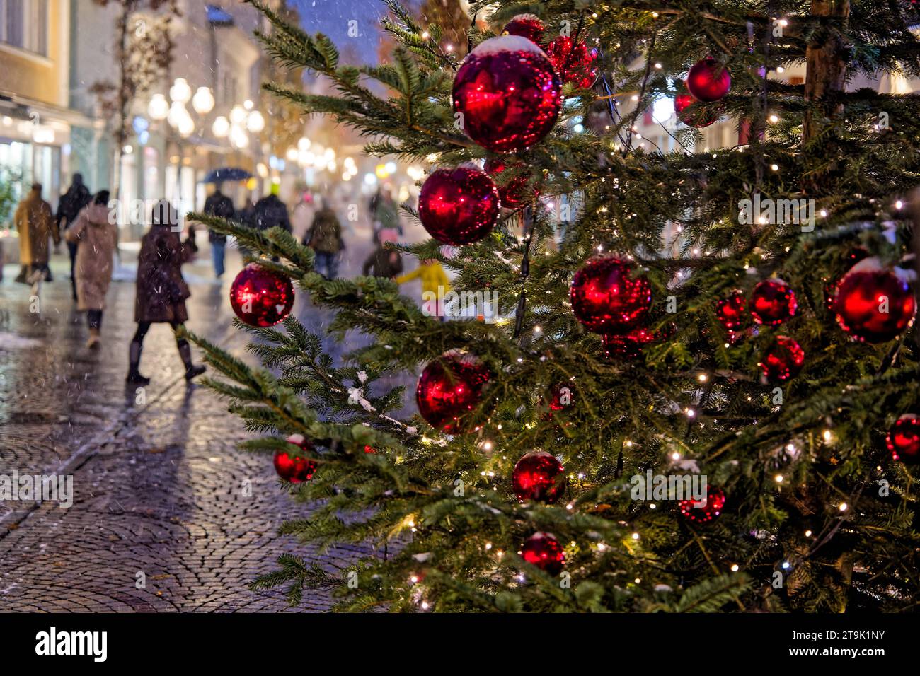 Vorweihnachtliche Stimmung. In der weihnachtlich dekorierten