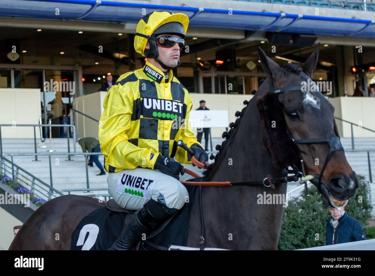 Ascot, Großbritannien. 25. November 2023. Horse Shishkin, geritten von Jockey Nico de Boinville, geht auf die Rennstrecke bei Ascot Races für den Nirvana Spa 1965 Steeple Chase beim November Racing Saturday Meeting. In einer großen Überraschung weigerte sich Shishkin, den Wettkampf zu starten. Racegoer, die Wetten auf Wallach Shishkin ablegten, waren enttäuscht, dass Shishkin nicht als Nichtläufer erklärt wurde und so ihr Geld nicht zurückbekamen. Mick Fitzgerald, der Moderator von ITV Racing, sagte, Shishkin habe dies schon einmal getan und sei „ein skurriler Charakter“. Trainer Nicky Henderson. Eigentümerin Frau J. Donnelly. Stockfoto