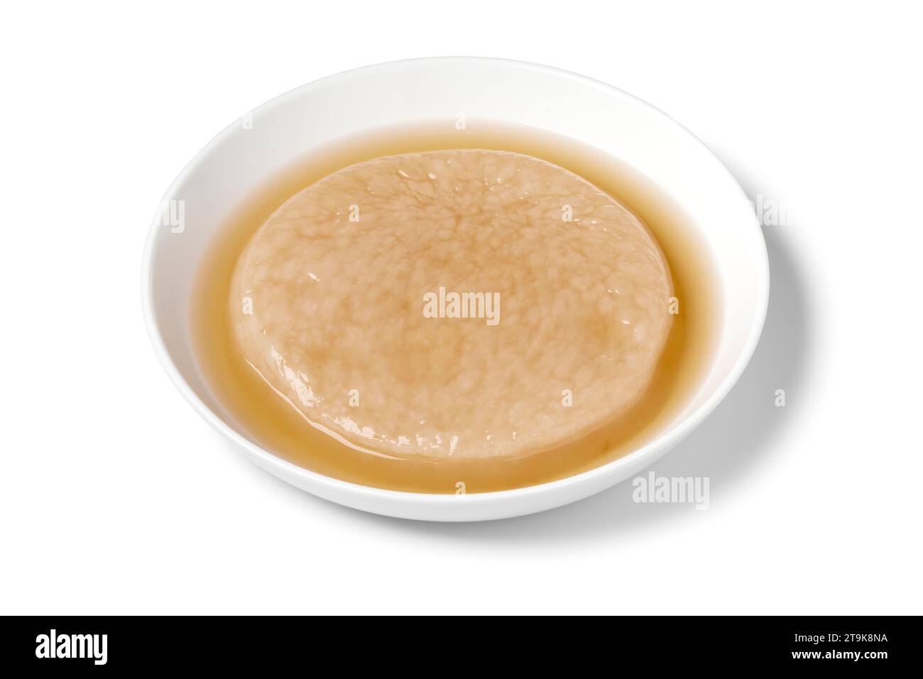 Teller mit einem Kombucha-Teepilz, Scoby zur Herstellung von Kombucha-Getränk isoliert auf weißem Hintergrund Nahaufnahme Stockfoto
