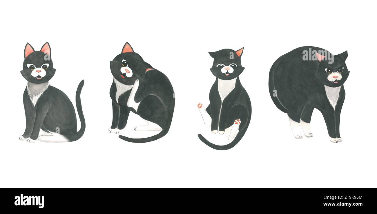 Set von Aquarellillustrationen einer schwarzen Katze in verschiedenen Posen. Hand gezeichnet isoliert auf weißem Hintergrund Stockfoto