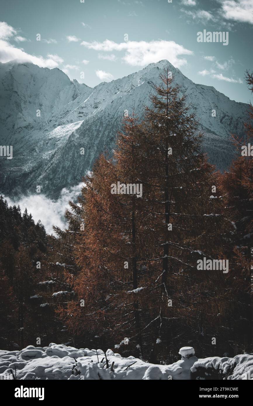 Erster Schnee in den italienischen Bergen Stockfoto