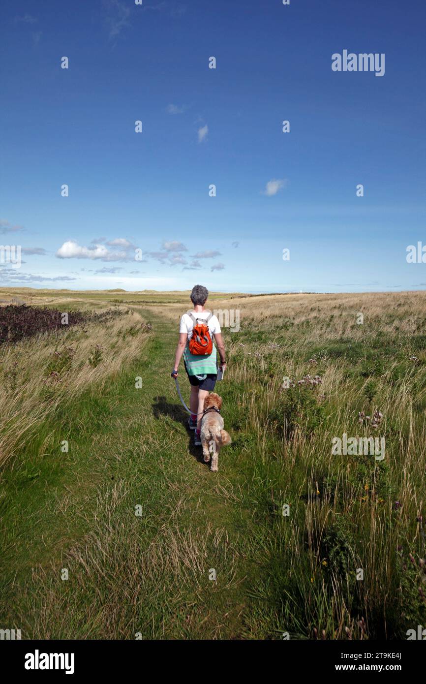 Frau, die mit einem Hund auf der Heiligen Insel Lindisfarne läuft, Northumberland, Großbritannien Stockfoto