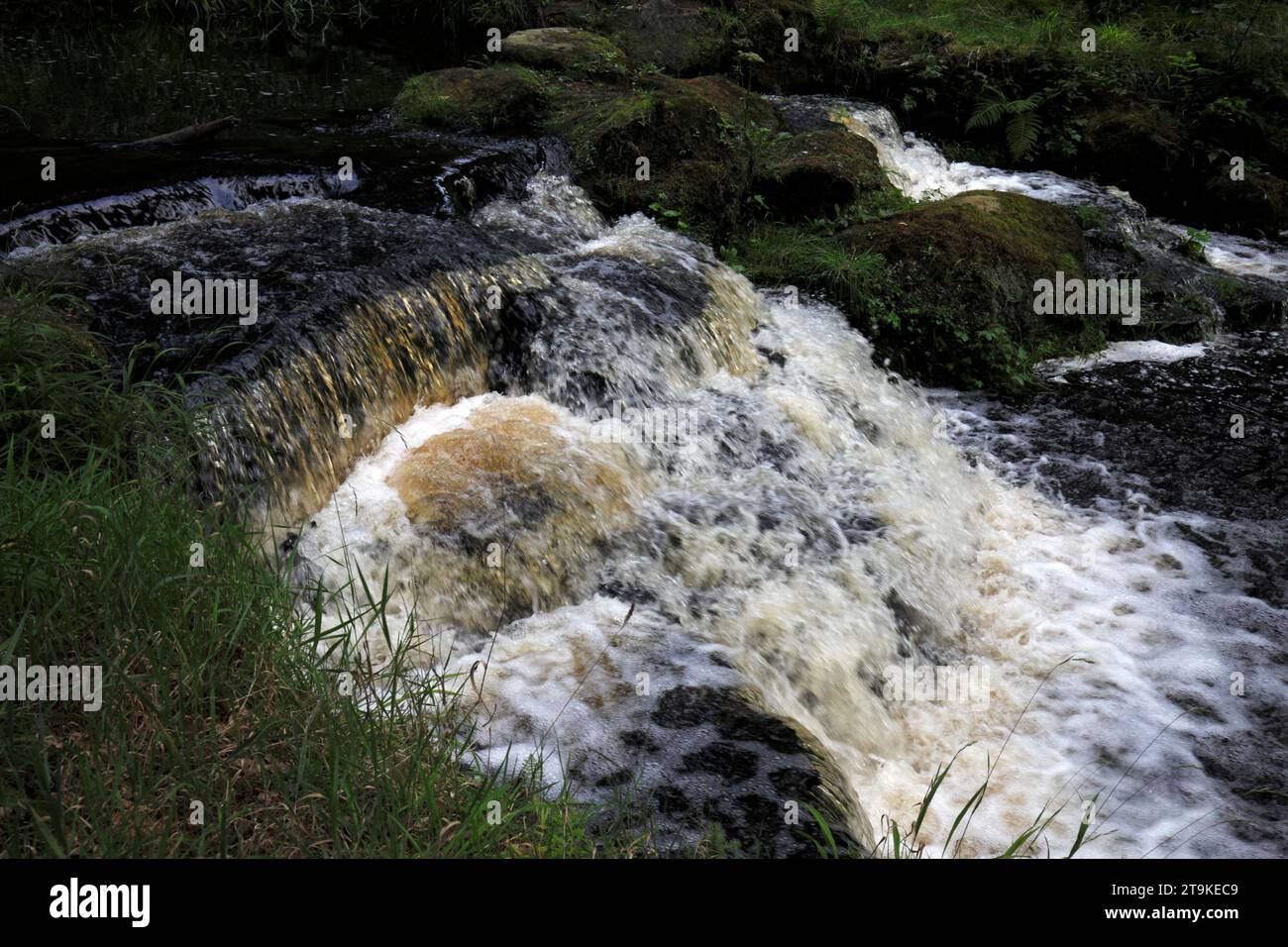 Debdon Burn or Stream, der Tumbleton Lake fedt. Northumberland, Großbritannien Stockfoto