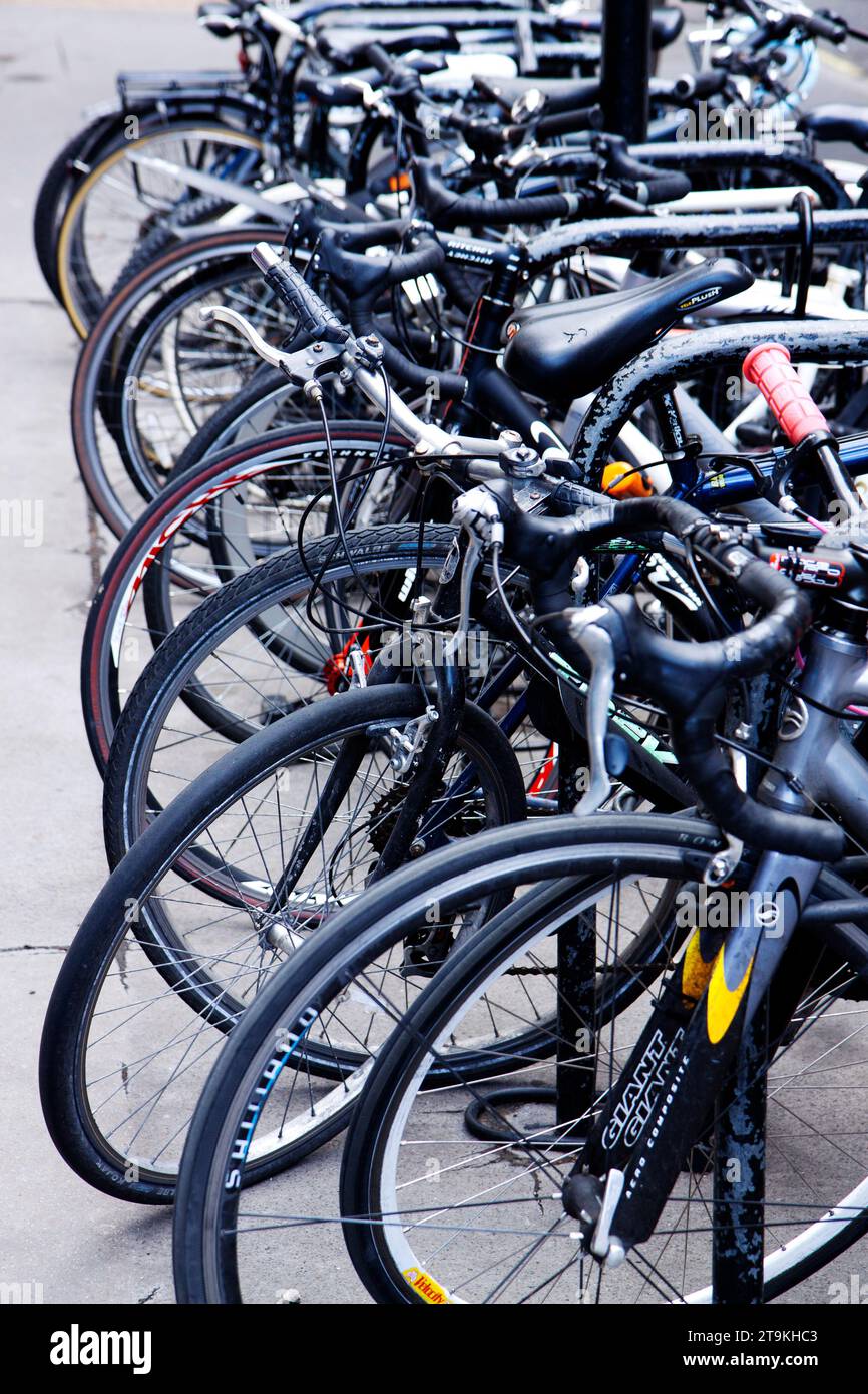 Eine Reihe von Fahrrädern, die auf einem grauen Pflaster geparkt sind Stockfoto