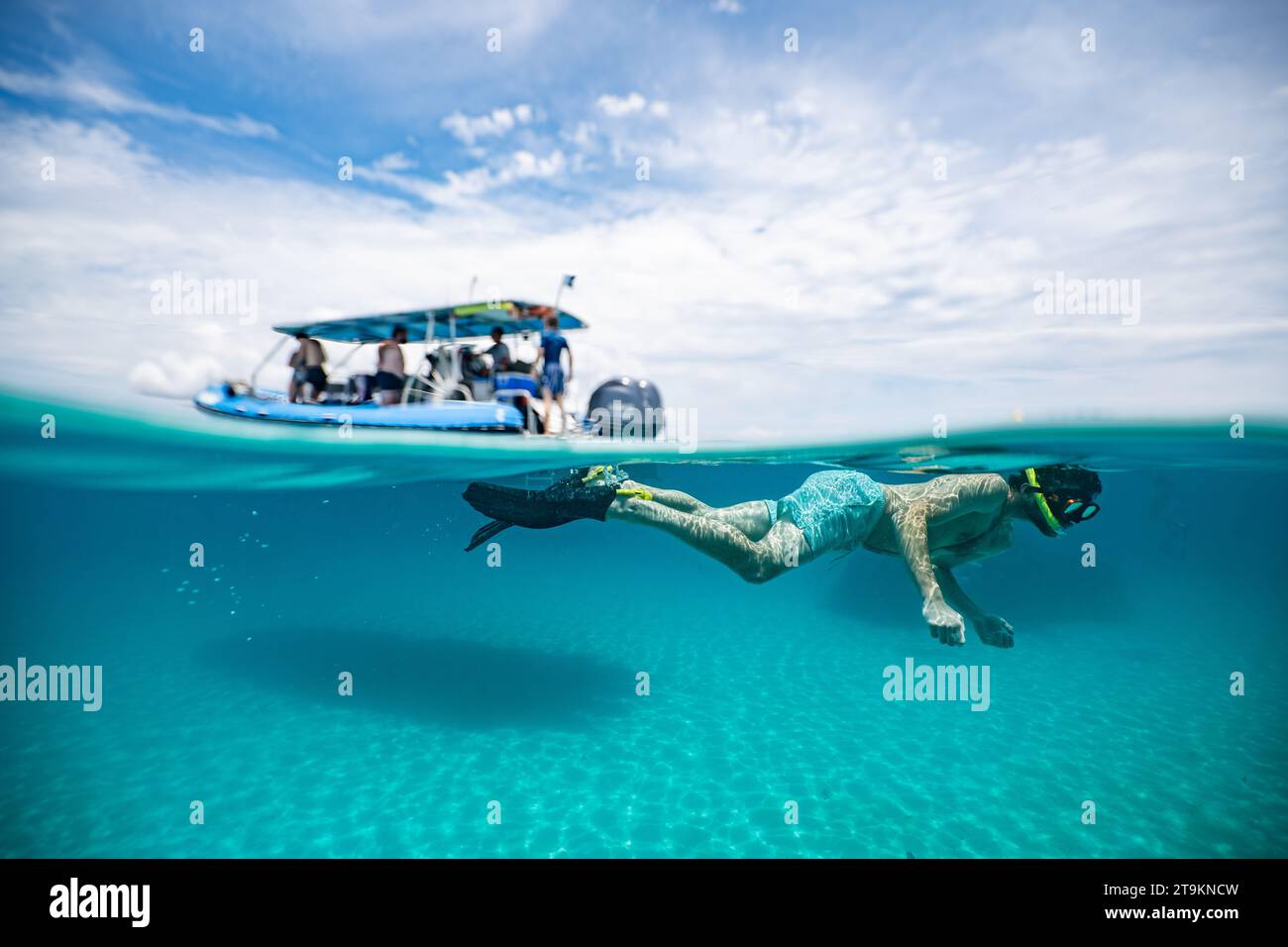 Schwimmen Sie bei Ebbe über dem Korallenriff der Mayotte Lagune im Indischen Ozean Stockfoto