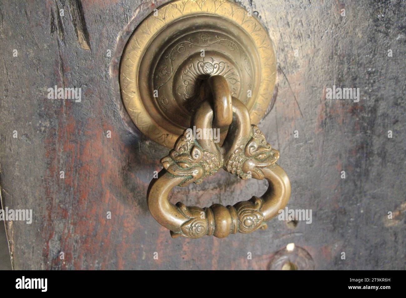 Türklopfer, Kandy kataragama Tempel Sri Lanka Stockfoto