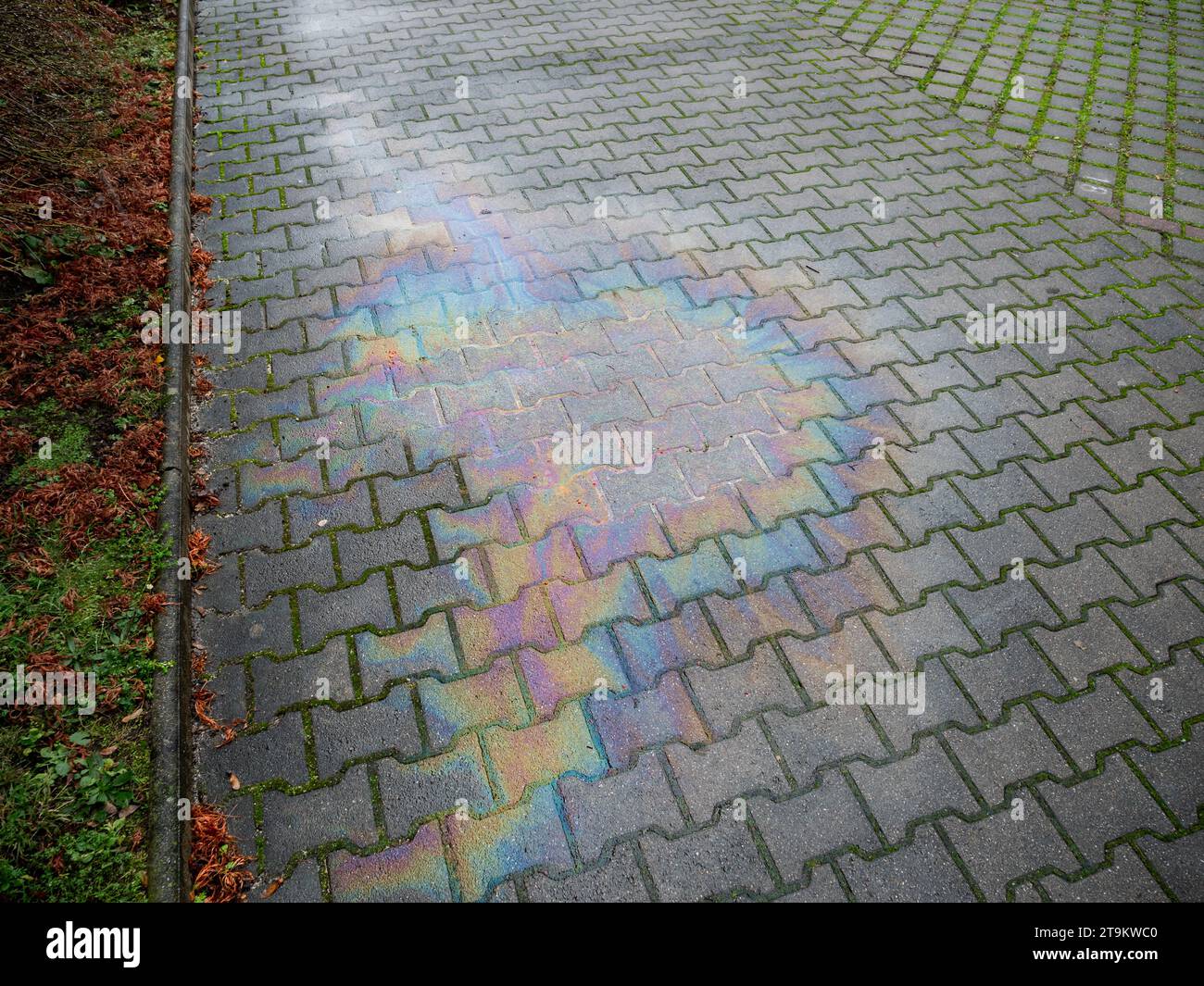 Ölpest auf einer Straße. Fossile Brennstoffe oder Mineralöl in der Umwelt. Ein Leck eines Autos verursachte die Verschmutzung. Verschmutzung des Bodens und des Wassers Stockfoto