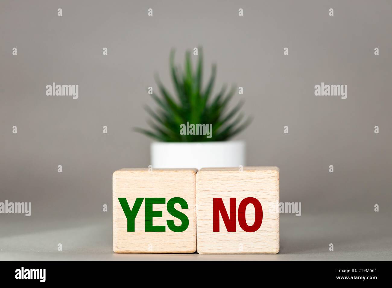 Eine Wahl mit Ja oder Nein. Positive oder negative Entscheidung. Annahme oder Ablehnung. Umgekehrte Wörter Ja oder Nein auf dem Schreibtisch, bunte Würfel und saftige auf einem bea Stockfoto