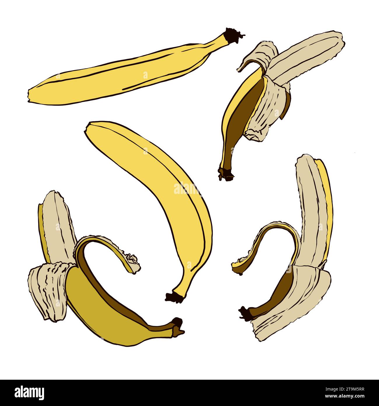 Ein Set Bananen. Abstrakte, moderne Bananensymbole auf weißem Hintergrund. Für Internet, Druck, Produktdesign, Logo. Linie, Kontur. Stockfoto