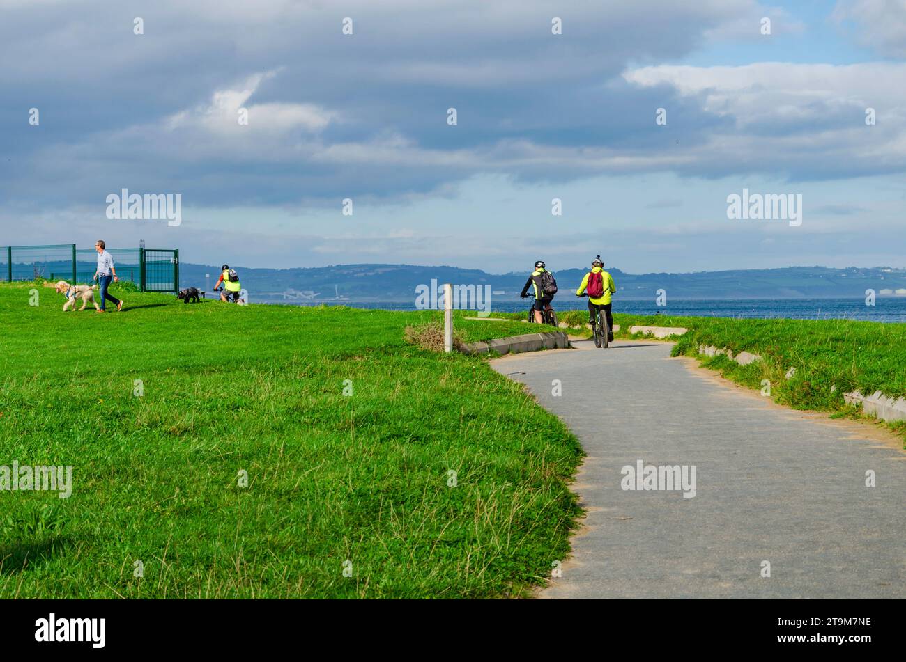 Crawfordsburn, County Down, Nordirland 10. Oktober 2023 – Radfahrer auf dem Crawfordsburn Coastal Path und ein Mann, der zwei Hunde wandert Stockfoto