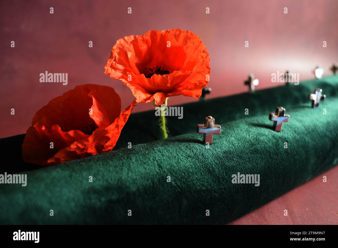 Gedenktag rote Mohnblumen und Kreuz Stockfoto