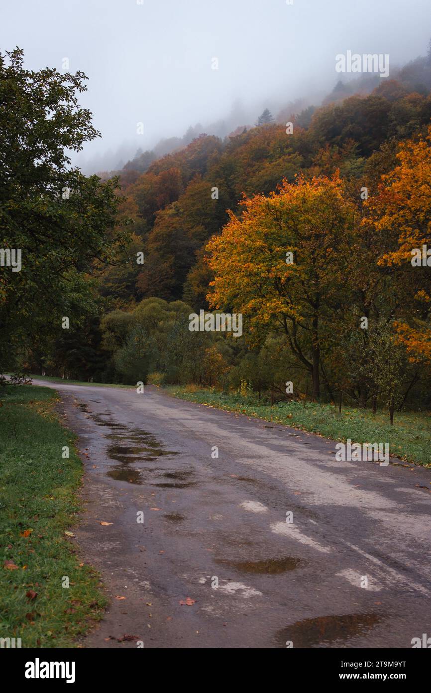 Leere Straße in Karpaten nach Regen. Ländliche Landschaft im Herbst. Herbstwald im Nebel und Straße zum Dorf. Leere Straße auf dem Land. Stockfoto