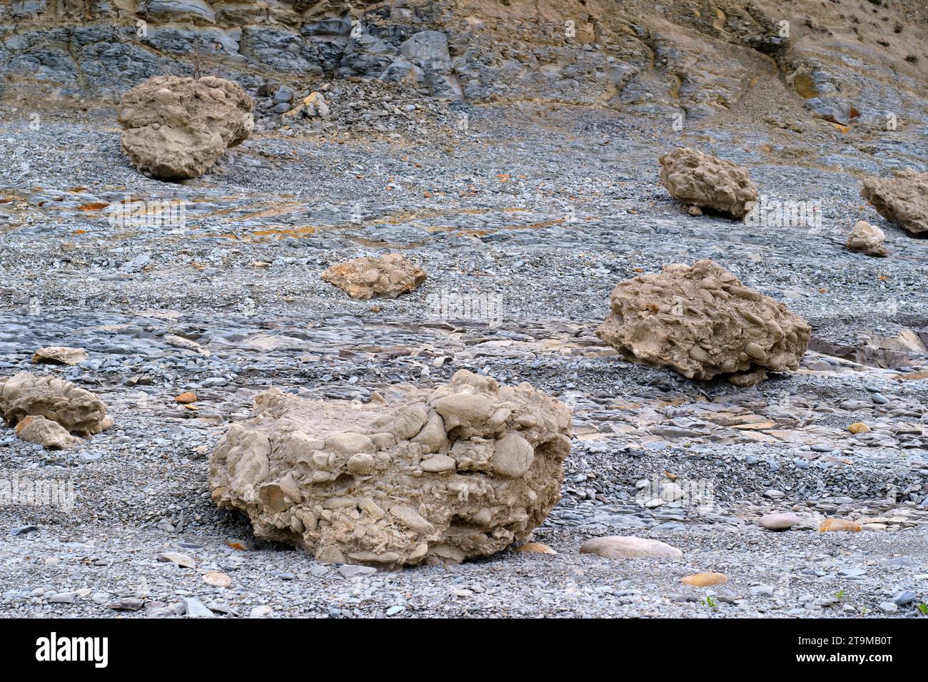 Steiniger Boden mit Konglomeraten am Ufer eines Sumpfes. Stockfoto