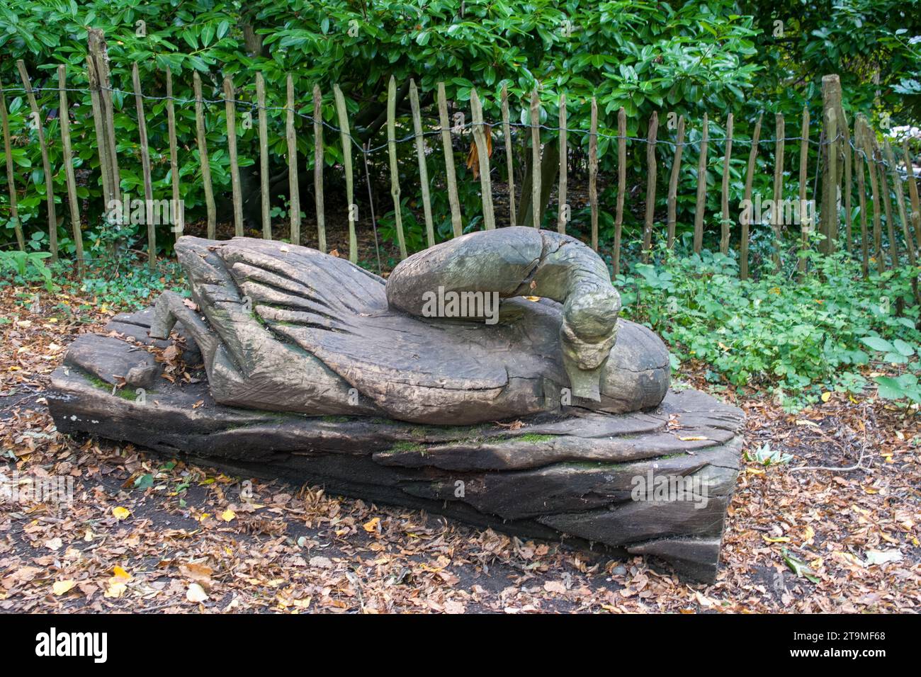 Holzskulptur eines Schwans Stockfoto