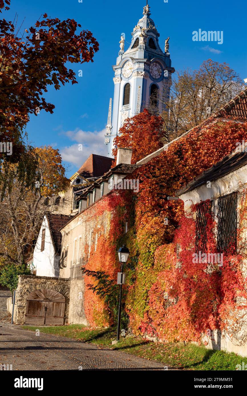 Bunte Weinblätter Dürnstein an einem Herbsttag Stockfoto
