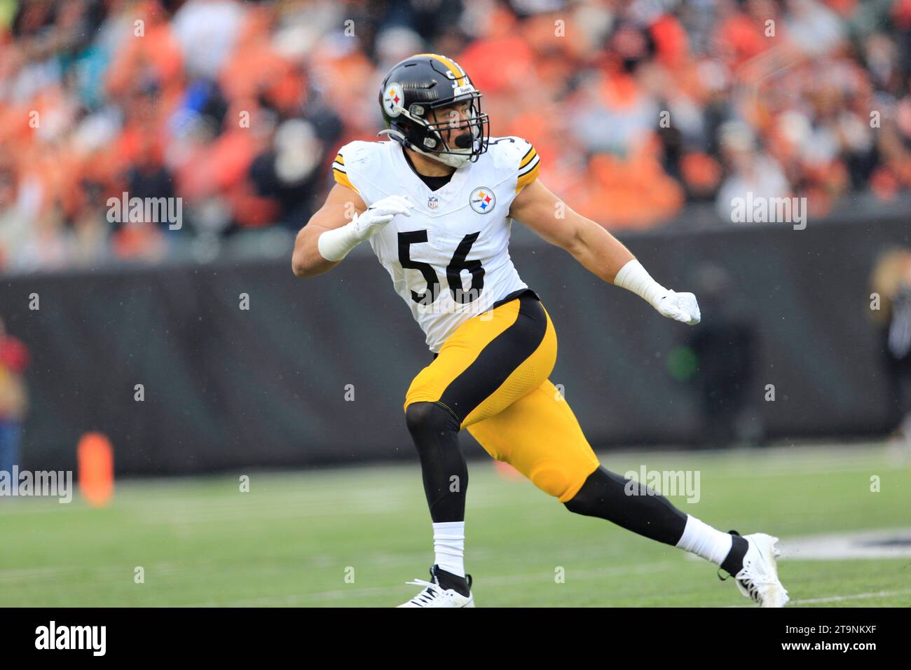 Cincinnati, Ohio, USA. November 2023. Pittsburgh Steelers Linebacker Alex Highsmith (56) während des regulären Saisonspiels zwischen den Pittsburgh Steelers und Cincinnati Bengals in Cincinnati, Ohio. JP Waldron/Cal Sport Media (Bild: © JP Waldron/Cal Sport Media). Quelle: csm/Alamy Live News Stockfoto