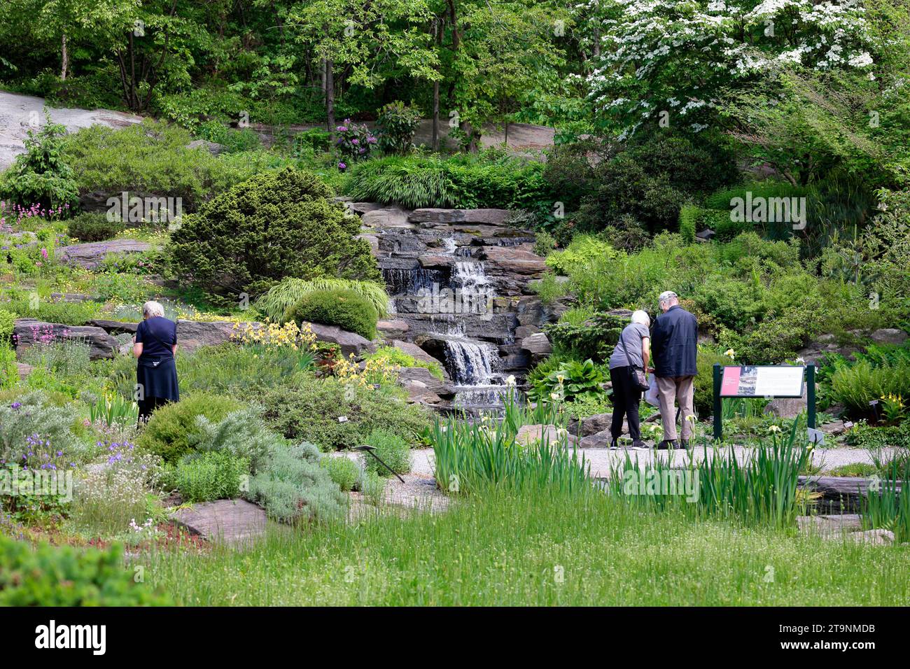 Menschen am Rock Garden Cascade Wasserfall im New York Botanical Garden, Bronx, New York. Stockfoto