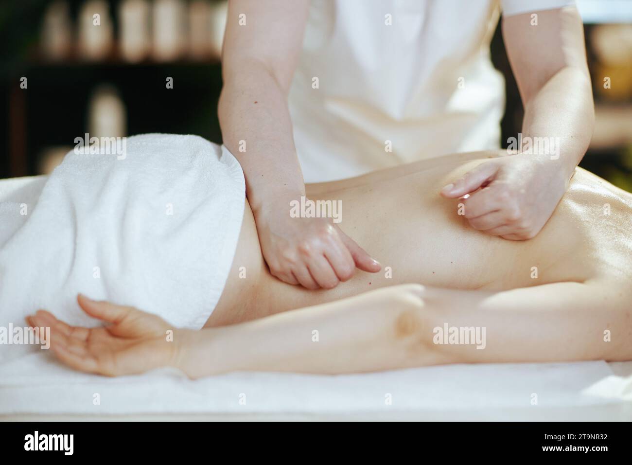Gesundheitszeit. Nahaufnahme des Massagetherapeuten im Spa-Salon-Massagekunden. Stockfoto