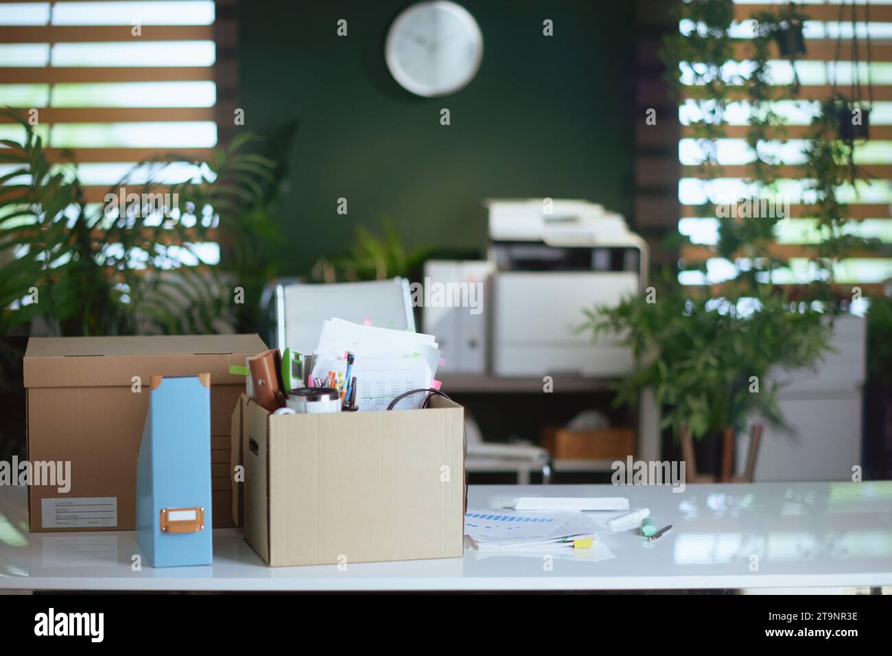 Neuer Job. Tisch in einem modernen grünen Büro mit persönlichen Gegenständen in Pappkarton. Stockfoto
