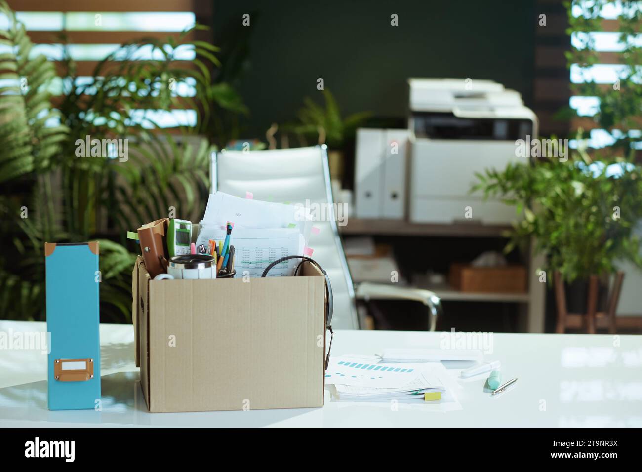 Neuer Job. Schreibtisch in einem modernen grünen Büro mit persönlichen Gegenständen in Pappkarton. Stockfoto