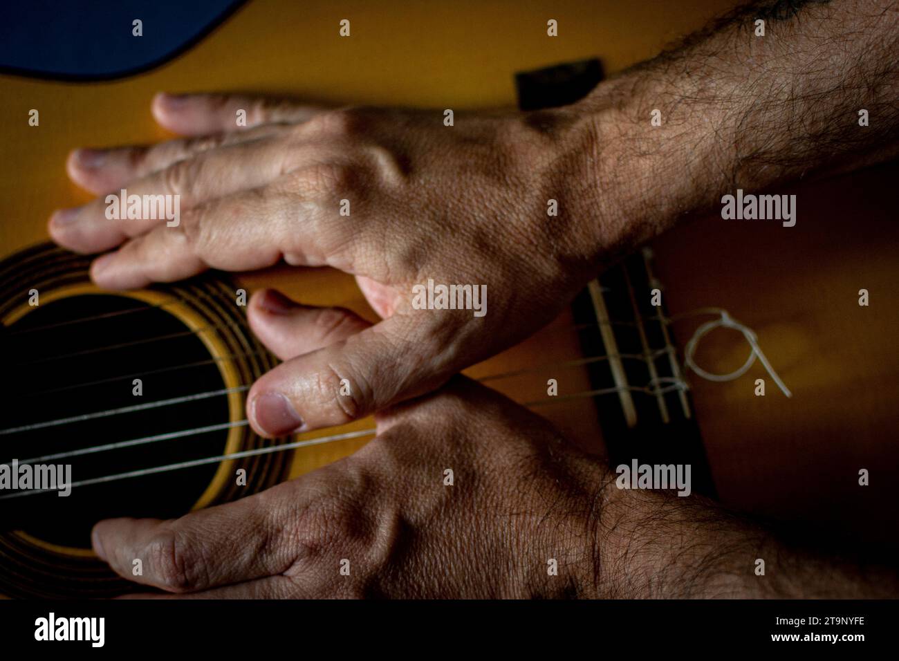 Hände eines klassischen Gitarristen auf der Gitarre. Stockfoto