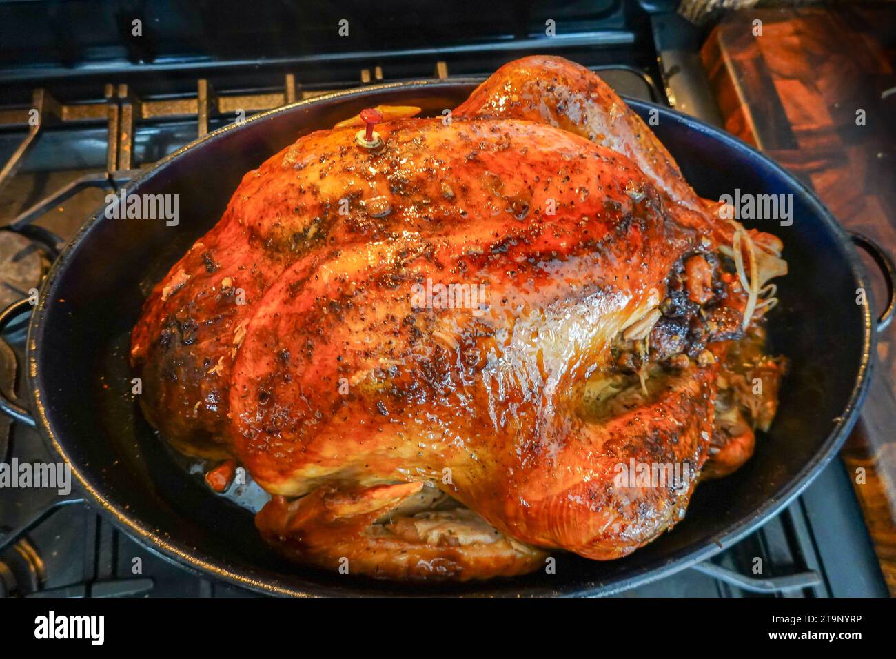 Ein 20 Pfund truthahn gefüllt und im Ofen gebraten in einem Vintage herzhaften Röster gebraten in eigenen Säften für Thanksgiving oder Weihnachtsessen Stockfoto