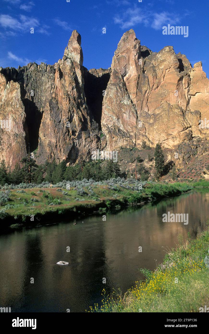 Smith Rocks und Crooked River, Smith Rock State Park, Oregon Stockfoto