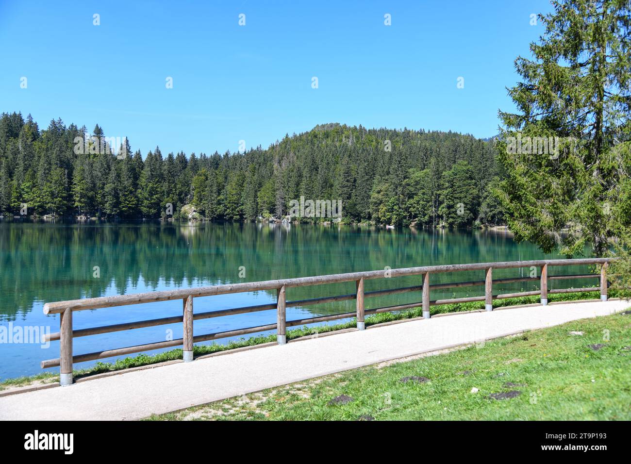 Ein hölzerner Zaun, der einen Eingang zu den smaragdgrünen Farben des Laghi di Fusine Inferiore-Sees bewacht Stockfoto