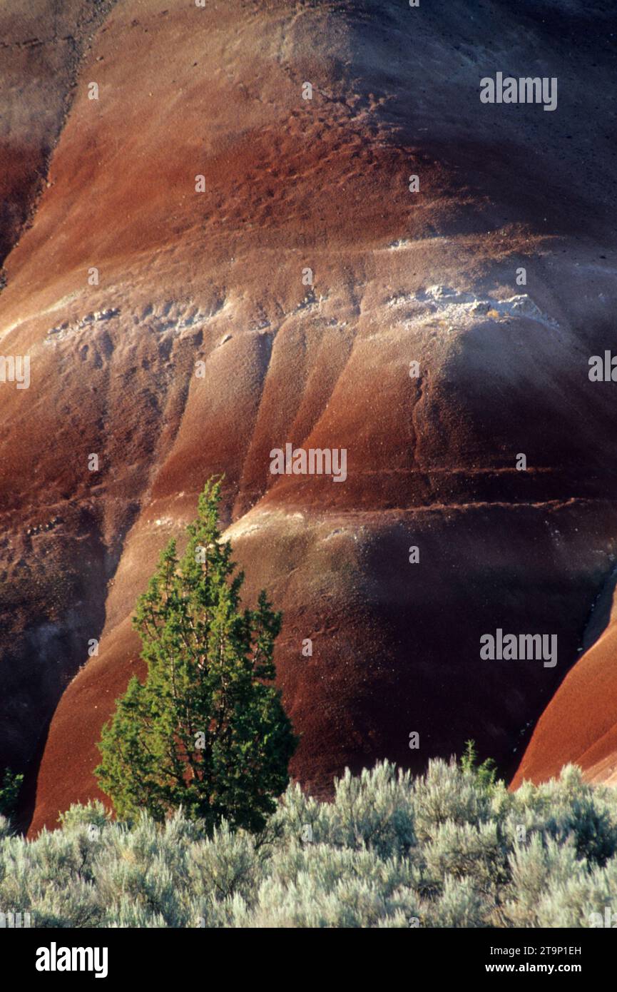 Painted Hills, Sutton Mountain Wilderness Study Area, Prineville District Bureau of Land Management, Oregon Stockfoto