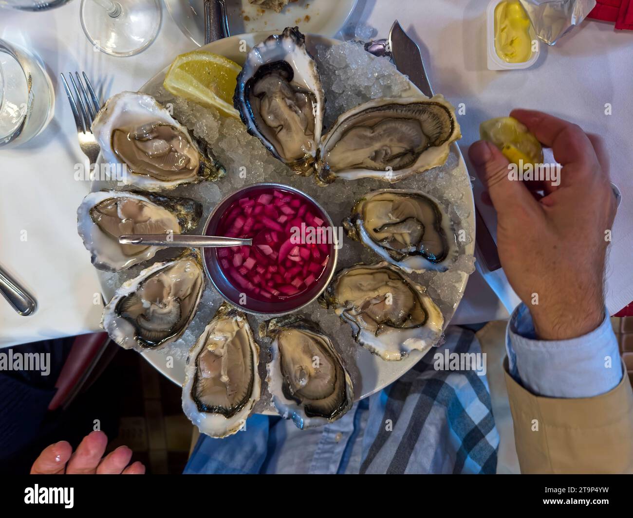 Austern in einem Restaurant am 24. Oktober 2023 in Brüssel, Belgien. Quelle: Imago/Alamy Live News Stockfoto