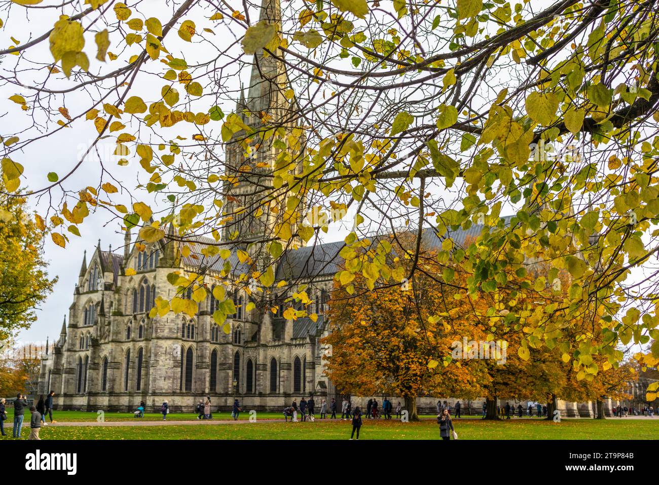 Das Gelände der Kathedrale von Salisbury wird von herbstlichen Blättern verdeckt, Salisbury, Wiltshire, England, Großbritannien Stockfoto