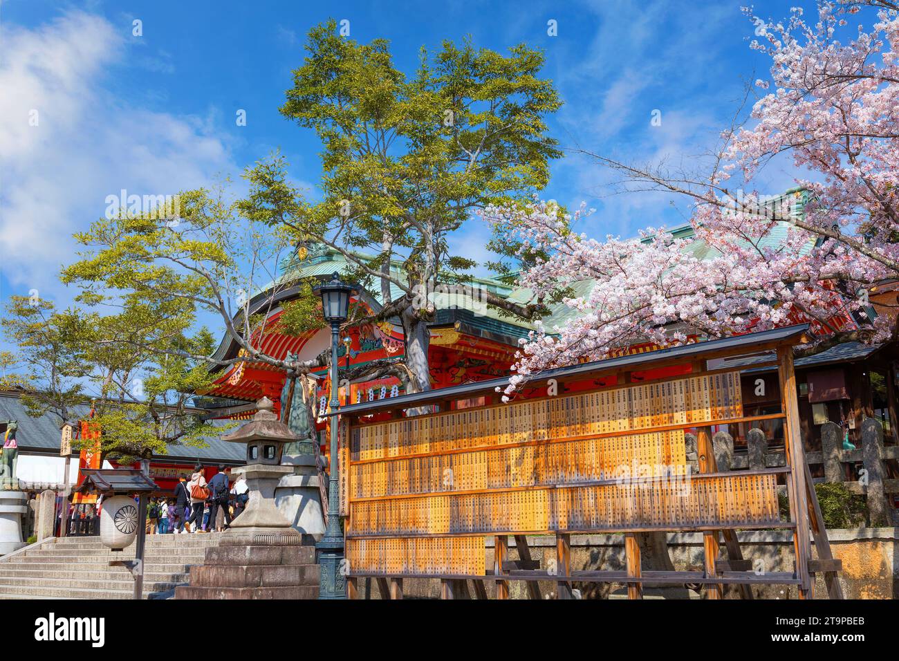 Kyoto, Japan - 1. April 2023: Fushimi Inari-taisha, erbaut im Jahr 1499, ist es das Symbol eines Weges, der von Tausenden von Torii-Toren mit malerischer, voller Blüte gesäumt ist Stockfoto