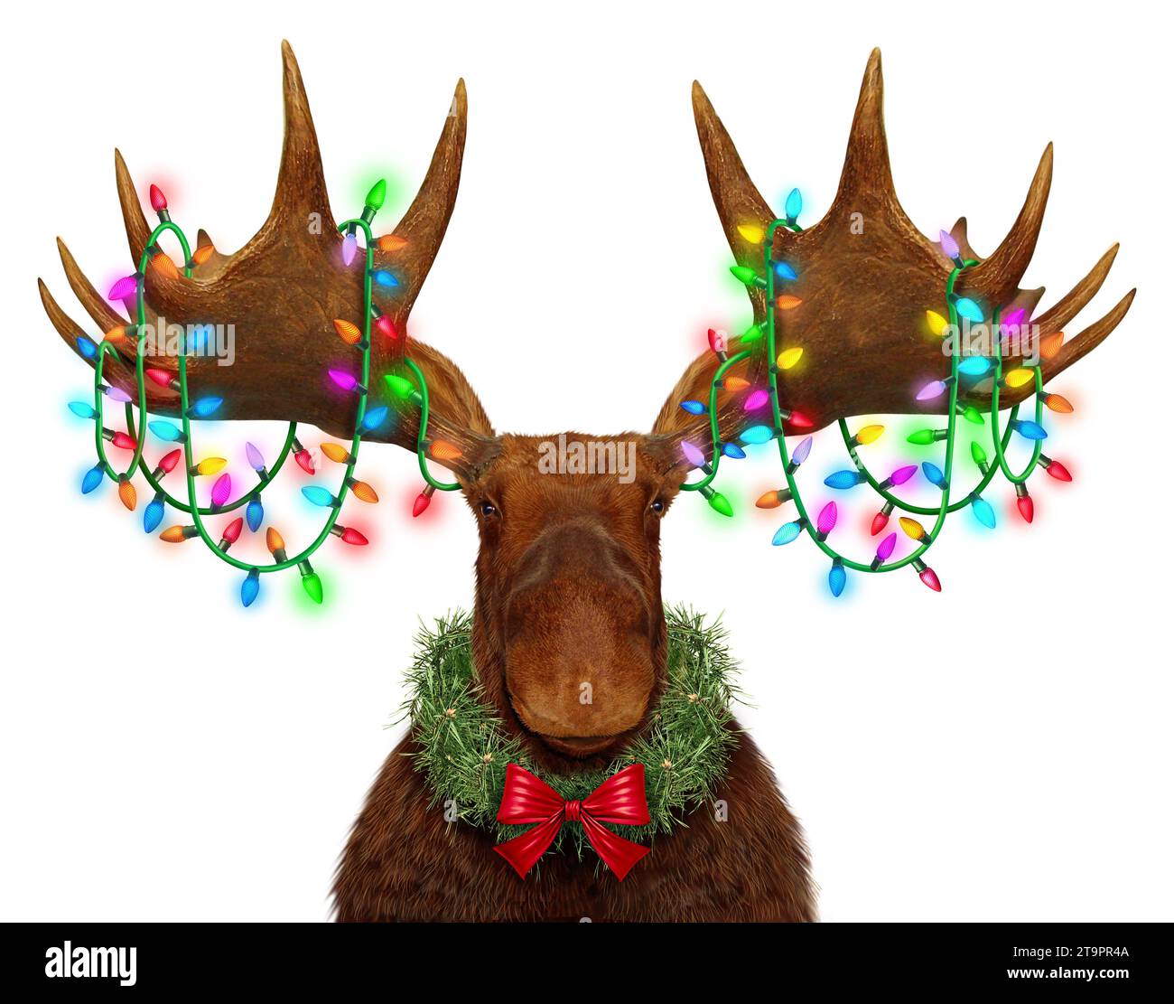 Lustige Holiday Elch Geweihe mit festlichen Lichtern als skurriles lustiges, lustiges Tier im nördlichen Wald dekoriert mit hell leuchtendem traditionellem Weihnachtslicht oder Stockfoto