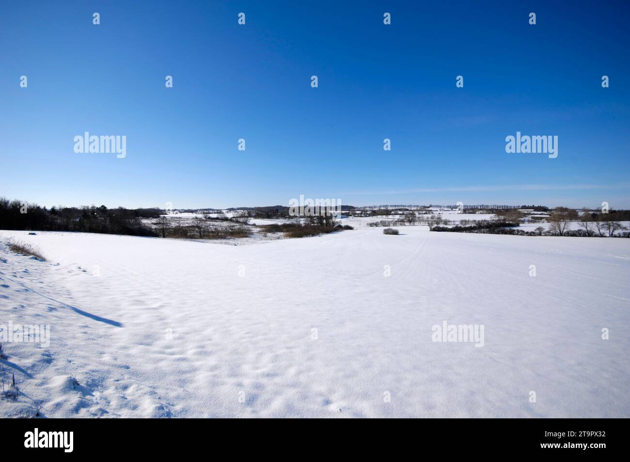 Landschaft im Winter. Der Boden ist mit Schnee bedeckt. Stockfoto