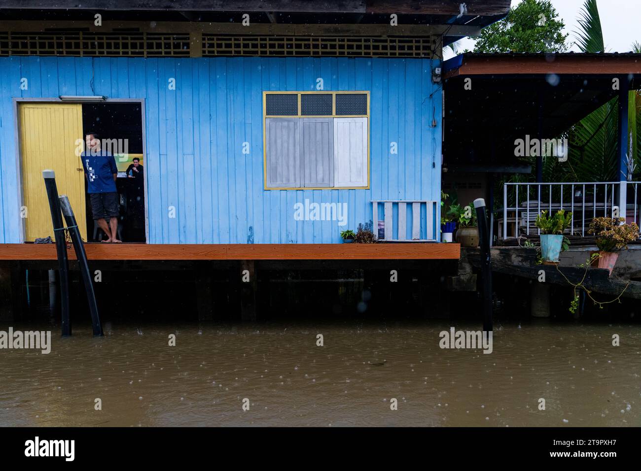 Thailand. November 2023. Jemand steht auf ihrer Veranda mit einem Fernseher, der im Hintergrund spielt, während sich das Hochwasser vom Tapi River bei starken Regenfällen in Surat Thani, Thailand, am 27. November 2023 nähert. In Surat Thani, Thailand, einem tropischen Gebiet, das während der Regenzeit im Süden zunehmend vom Klimawandel betroffen ist, finden starke Regenfälle und Überschwemmungen statt. Quelle: Matt Hunt/Neato/Alamy Live News Stockfoto