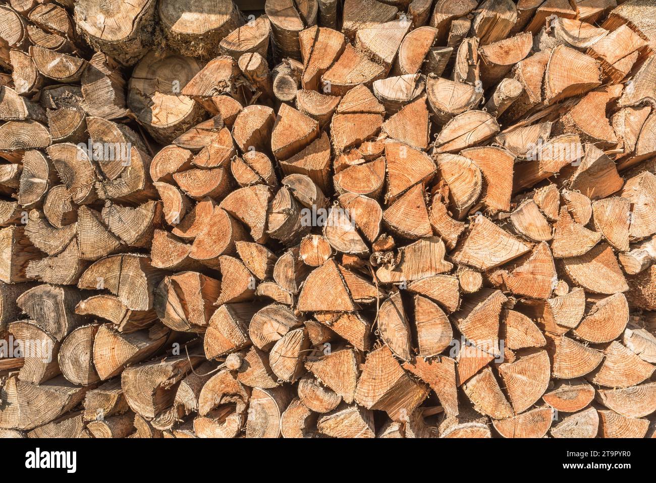 Holzstämme, Haufen gehackter und gestapelter Feuerholz Stockfoto