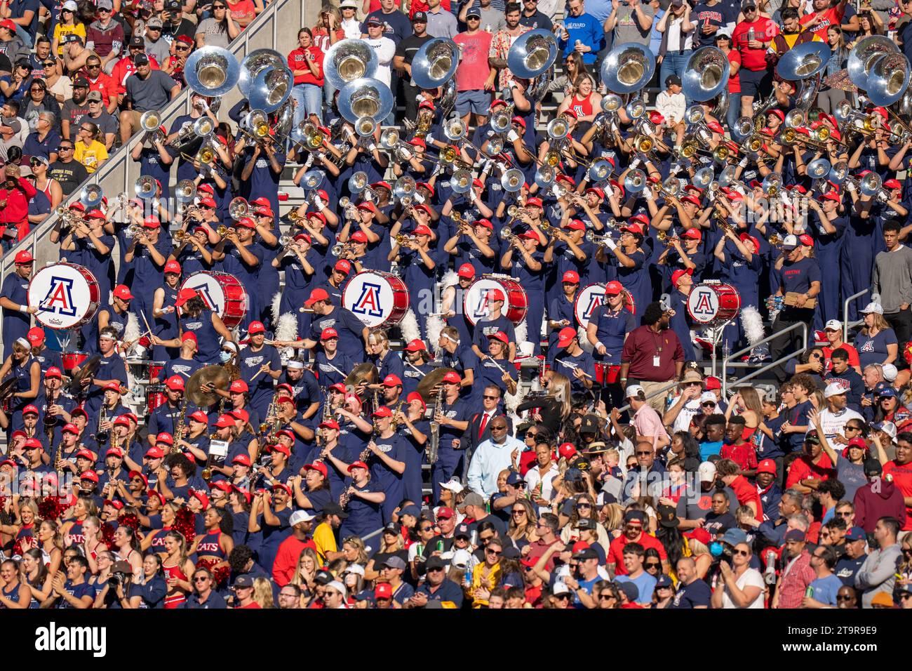 Arizona Wildcats Band während eines NCAA Football Spiels gegen die Arizona State Sun Devils, Samstag, 25. November 2023, in Tempe, Arizona. Arizona besiegt Arizona State 59-23 (Marcus Wilkins/Image of Sport) Stockfoto