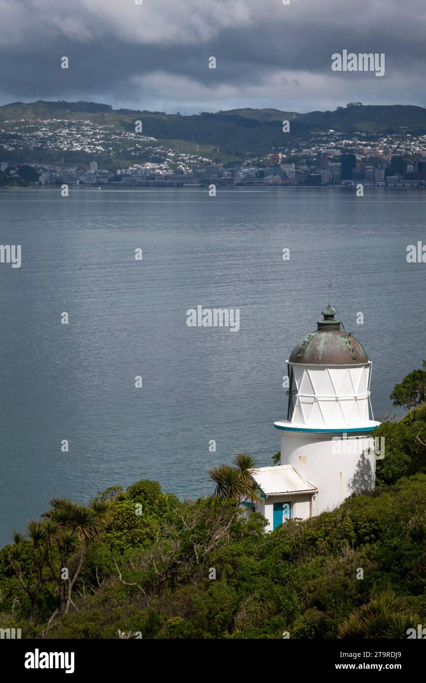 Leuchtturm, Matiu/Soames Island, Wellington Harbour, Nordinsel, Neuseeland. Wellington City in der Ferne. Stockfoto
