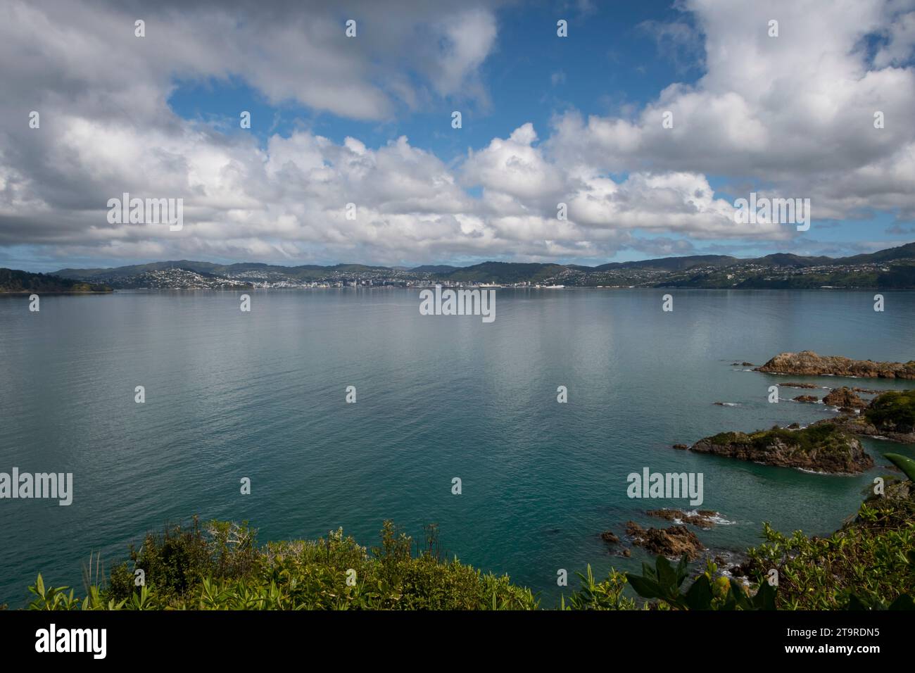 Stadtzentrum von Wellington von Soames Island, Wellington Harbour, Nordinsel, Neuseeland Stockfoto