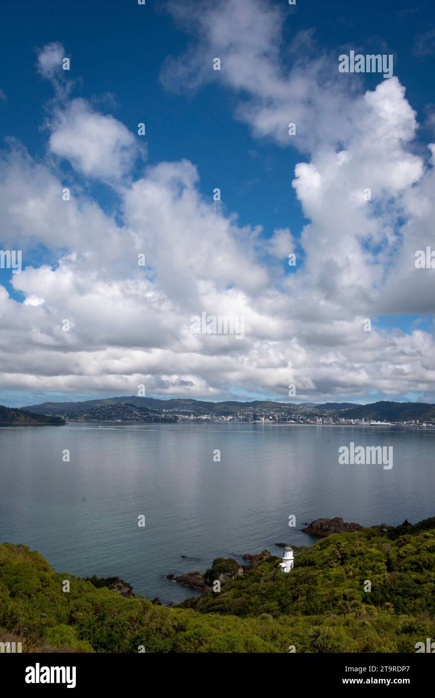 Stadtzentrum von Wellington von Soames Island, Wellington Harbour, Nordinsel, Neuseeland Stockfoto