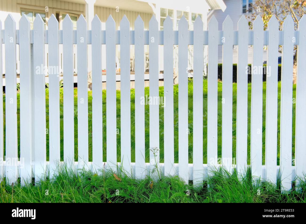 Zaun eines weißen hölzernen Gartens mit Blick auf grünes Gras und einen Teil des Haushintergrunds Stockfoto