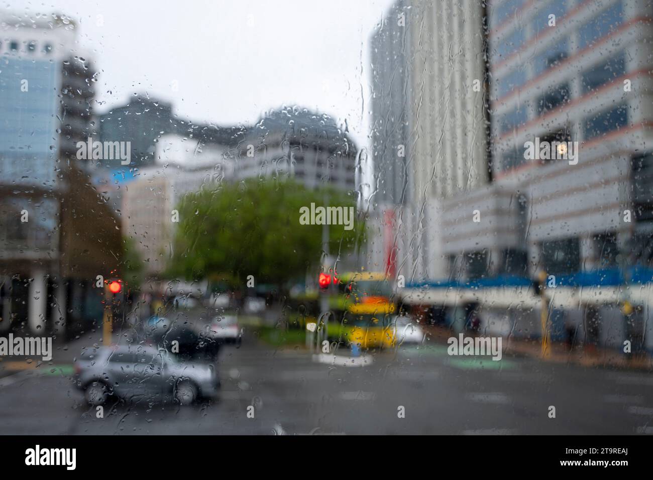 Straßenszene durch regnerisches Fenster, Lambton Quay, Wellington, Nordinsel, Neuseeland Stockfoto