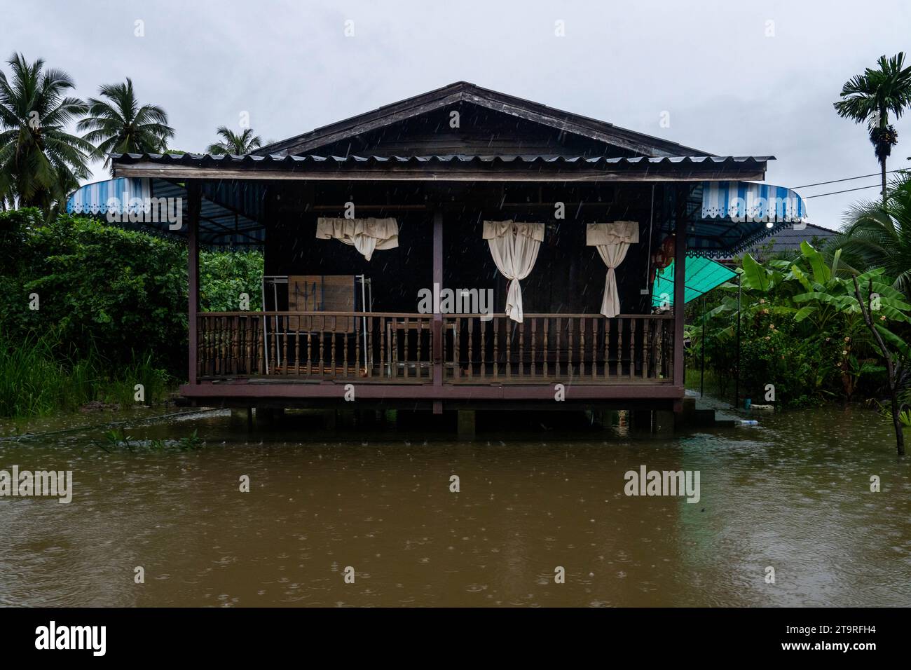 Surat Thani, Thailand. November 2023. Ein Haus wird als Hochwasser aus dem Tapi River bei starken Regenfällen gesehen. In Surat Thani, Thailand, einem tropischen Gebiet, das während der Regenzeit im Süden zunehmend vom Klimawandel betroffen ist, finden starke Regenfälle und Überschwemmungen statt. (Foto: Matt Hunt/SOPA Images/SIPA USA) Credit: SIPA USA/Alamy Live News Stockfoto