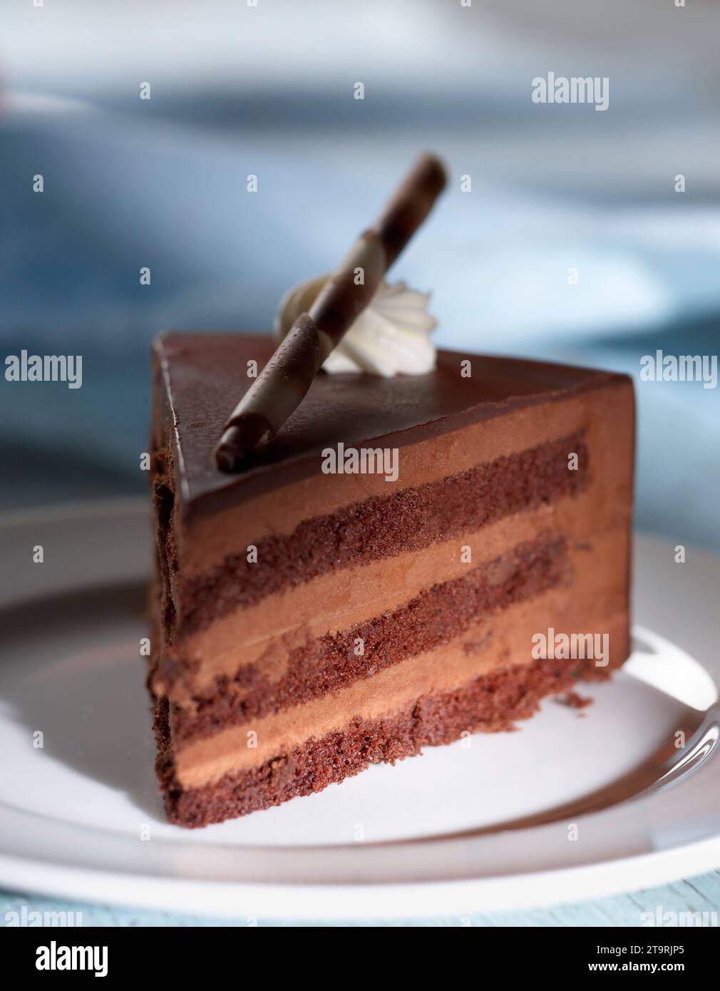Ein Stück, ein mehrschichtiger Chocoalte-Kuchen. Stockfoto
