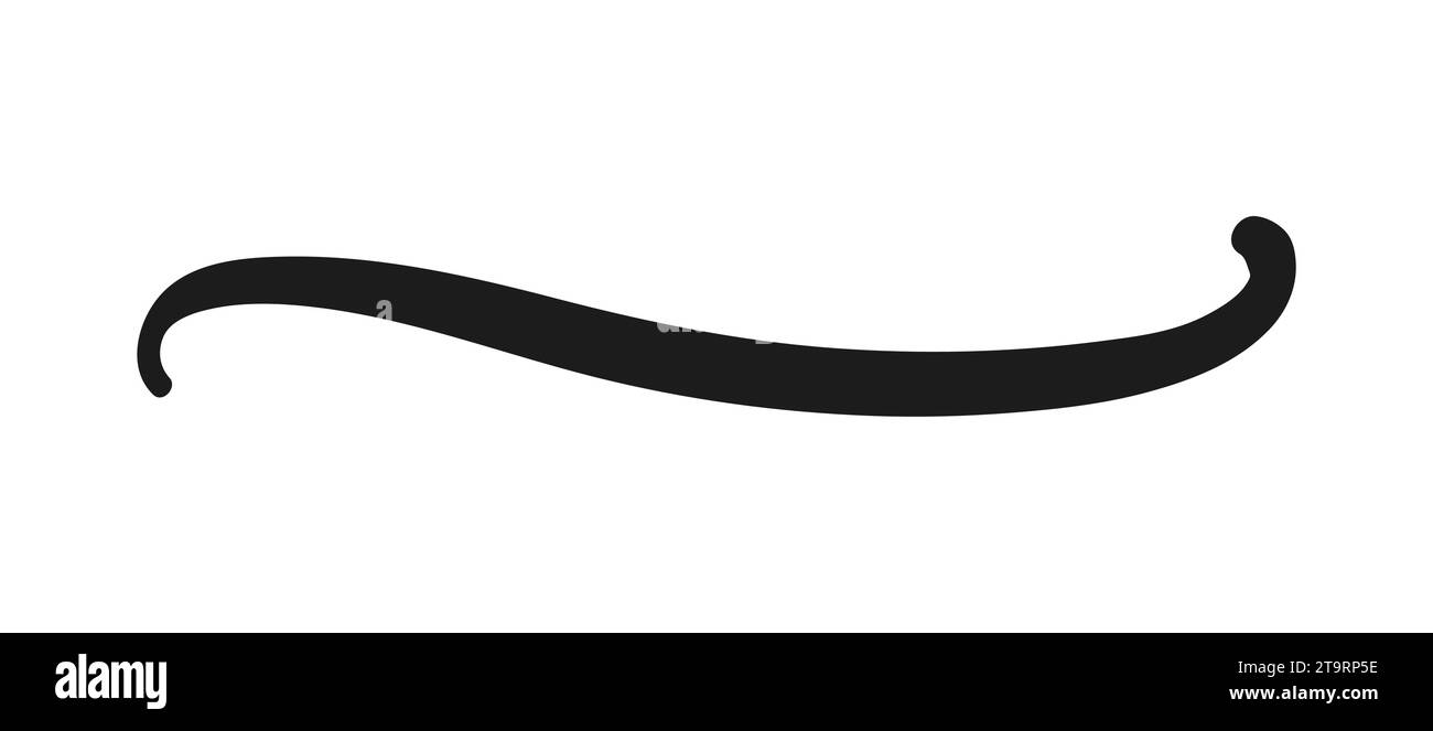 Swoosh und Swoops unterstreichen die typografische Heckform. Mit dem Pinsel gezogener dicker gekrümmter Abstrich Hand gezeichnet locktes Swish, Swash, Squiggle, Twiddle. Vektorkalligraph Stock Vektor