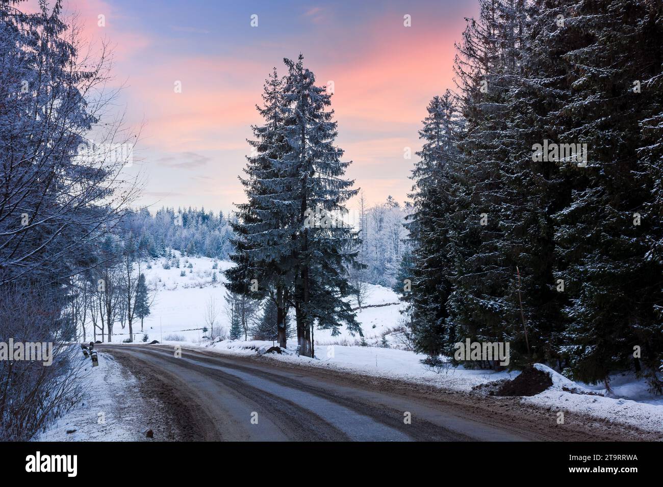 Asphaltstraße durch bewaldete Landschaft im Winter bei Sonnenuntergang. Bäume und Hügel im Schnee Stockfoto
