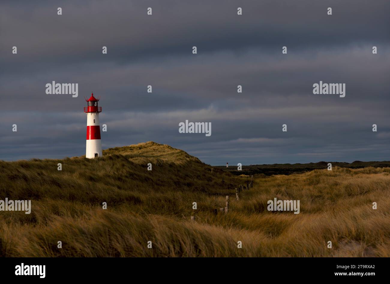 Leuchtturm List-Ost, rot-weiß gestreift, Dünen, Ellbogen, Sonnenaufgang, Morning Light, List, Nordseeinsel Sylt, Nordfriesland, Schleswig-Holstein, Deutschland Stockfoto