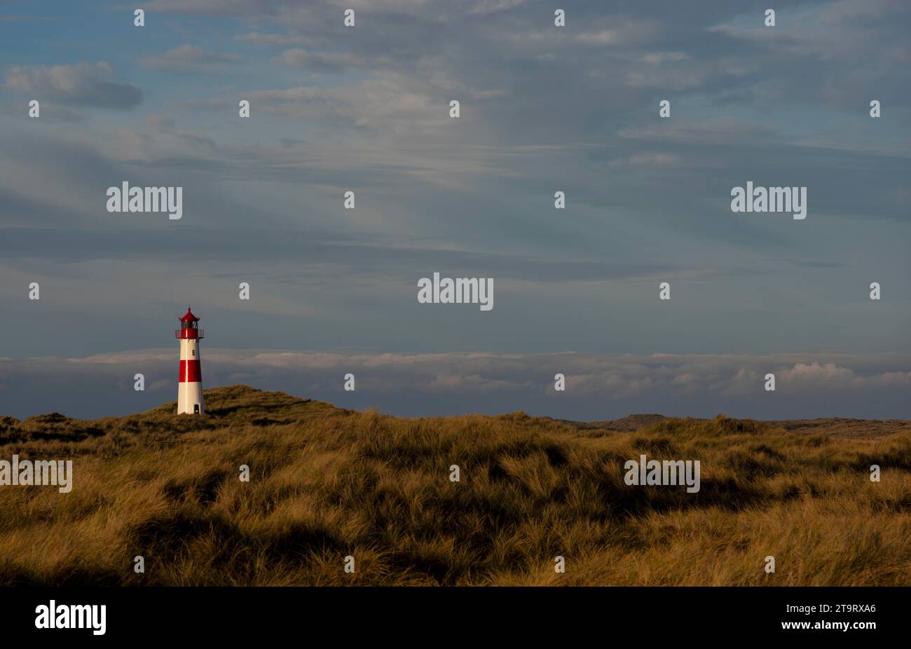 Leuchtturm List-Ost, rot-weiß gestreift, Dünen, Ellbogen, Sonnenaufgang, Morning Light, List, Nordseeinsel Sylt, Nordfriesland, Schleswig-Holstein, Deutschland Stockfoto