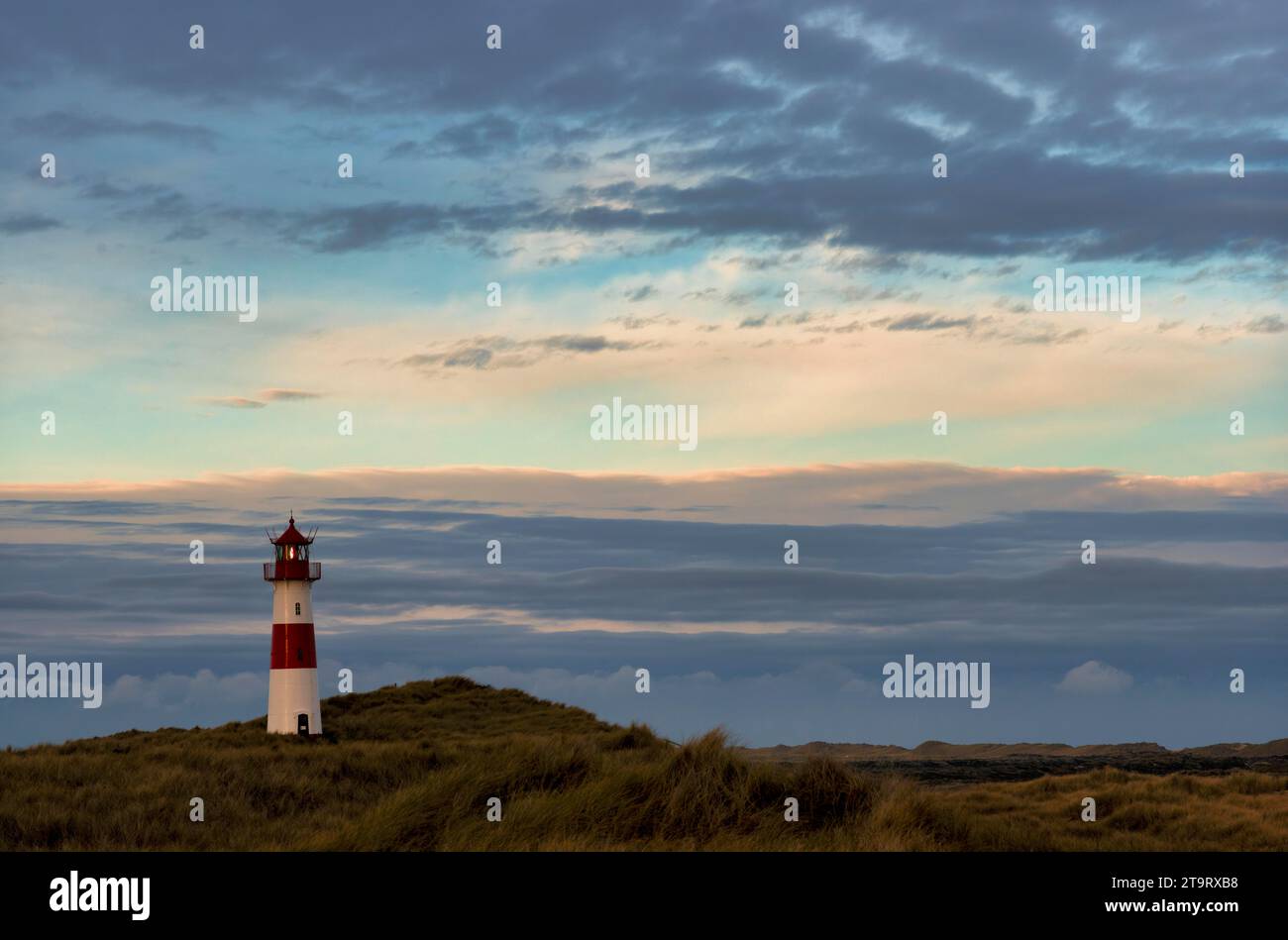 Leuchtturm List-Ost, rot-weiß gestreift, Dünen, Ellbogen, Sonnenaufgang, Morning Light, List, Nordseeinsel Sylt, Nordfriesland, Schleswig-Holstein, Deutschland Stockfoto